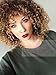 Vigour Beauty Wigs for Black Women Afro Kinky Wig Short Curly Wigs Blonde and Brown Ombre Wig Heat Resistant Fiber 14'' with Wig Cap