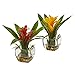 Nearly Natural Bromeliad Pair with Glass Vase Arrangement (Set of 2)