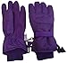 N'Ice Caps Adults Unisex Extreme Cold Weather 80 Gram Thinsulate Waterproof Ski Gloves