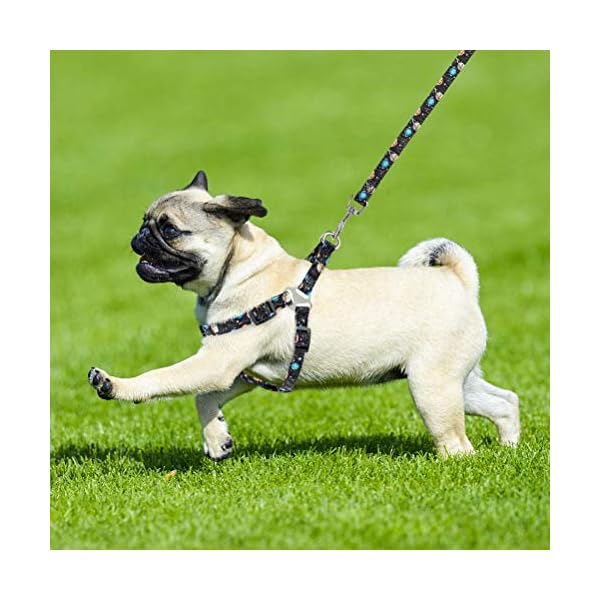 pupteck harness