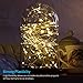 Homestarry Fairy Lights Battery Powered String Lights for Bedroom Twinkle Lights 8 Modes Silver Wire Lights with Remote for Indoor Christmas Wedding Costume 16.4 Ft 66 LED's, Warm White