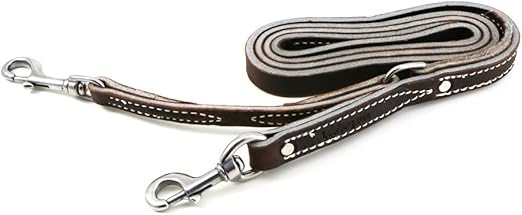 leerburg prong collar