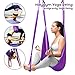 Nillygym Yoga Swing Antigravity Yoga Inversion Exercise - Aerial Yoga Hammock Set - Trapeze Yoga - Sling Yoga - Extension Straps (Mounting Accessories NOT Included)