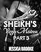 The Sheikh's Virgin Mistress 3 (Jatar Sheikh Series Book 3)