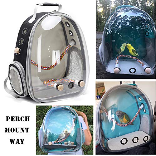parrot travel backpack