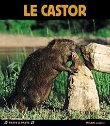 Le  castor