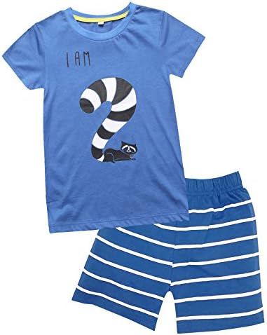 Kid Boys' Color Changeable Outfit Set Animal Figures 2nd Birthdays Gift Shirt with Shorts (2T)