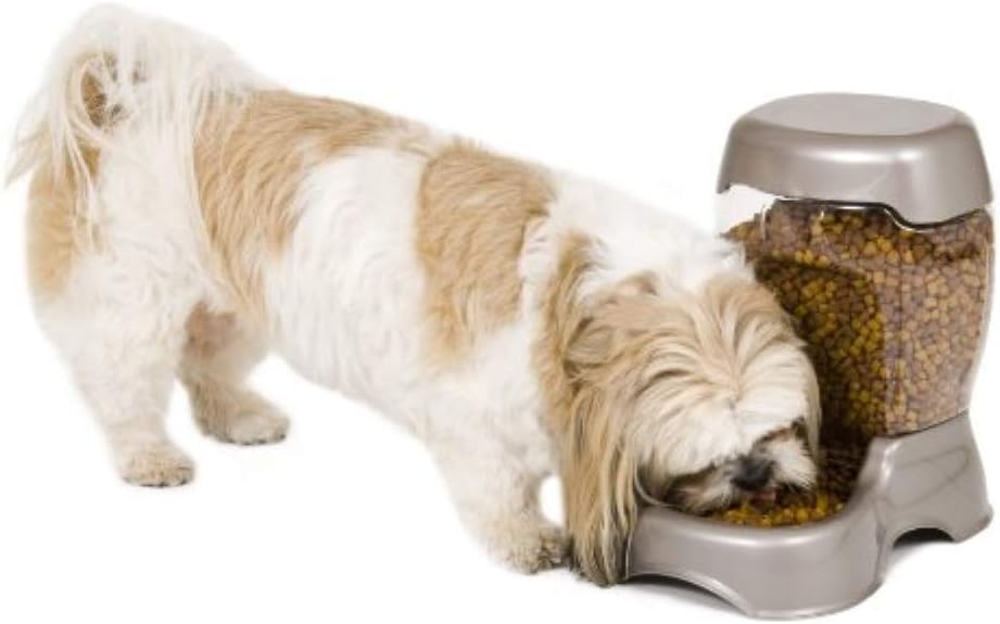 Pet Supplies : Petmate Pet Cafe Feeder Dog and Cat Feeder Pearlescent Colors 3 Sizes : Pet Self Feeders : 