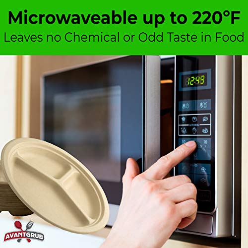 RestaurantGrade, Biodegradable 10 Inch Plates. Bulk