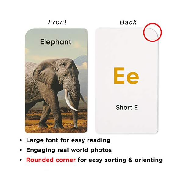 Download Think Tank Scholar Preschool Flash Cards Bundle Alphabet Abc Letters Math Numbers Counting Colors Shapes Blinkee Com