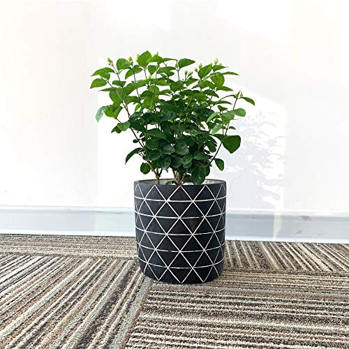 GEPEGE Cement Succulent Planter 6 Inch Flower Pot, Concrete Modern Planter - Thumbnail 5