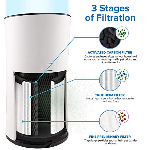 LEVOIT LVH133 Air Purifier Replacement Filter, HEPA and High