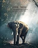 2019 - 2020 | 18 Month Weekly & Monthly Planner July 2019 to December 2020: Elephant Sunny Jungle Wildlife Nature Vol. 5Monthly Calendar with U.S./UK/ ... Holidays- Calendar in Review/Notes 8 x 10 in. by Dazzle Book Press