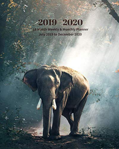 2019 - 2020 | 18 Month Weekly & Monthly Planner July 2019 to December 2020: Elephant Sunny Jungle Wildlife Nature Vol. 5Monthly Calendar with U.S./UK/ ... Holidays- Calendar in Review/Notes 8 x 10 in. by Dazzle Book Press