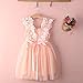 HOTONE Elegant Feast Baby Girls Princess Lace Flower Tulle Tutu Gown Formal Party Dress (4-5 Years, Pink)
