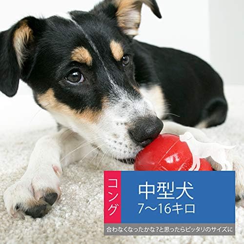 Amazon Kong コング 犬用おもちゃ コング M サイズ Kong コング 音の出るおもちゃ 通販 Amazon Kong コング 犬用おもちゃ コング M サイズ Kong コング 音の出るおもちゃ 通販