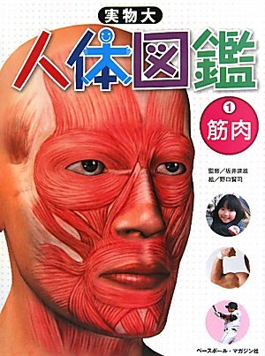 実物大 人体図鑑 1筋肉 坂井 建雄 こどもくらぶ 野口 賢司 本 通販 Amazon