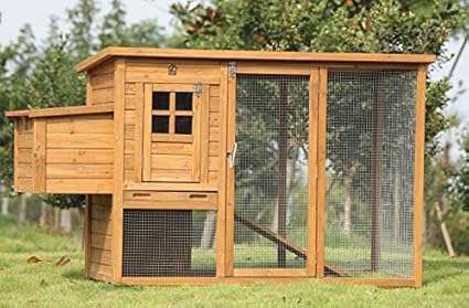 Amazoncom Exacme 6010 0709 Lovupet Deluxe Wooden Chicken Coop