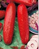 Very Rare Heirloom Organic Red Hmong Cucumber Delicious 30 Seeds