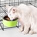Ordermore Crate Bowl,Stainless Steel Removable Hanging Food Water Bowl Cage Coop Cup for Dogs,Cats,Birds,Small Animals,Holds 14 Ounce