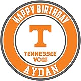 EdibleInkArt Tennessee Volunteers Edible Cake