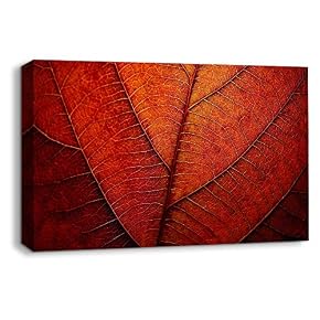 Leaf Veins Pictures Home Wall for Bedroom Living...