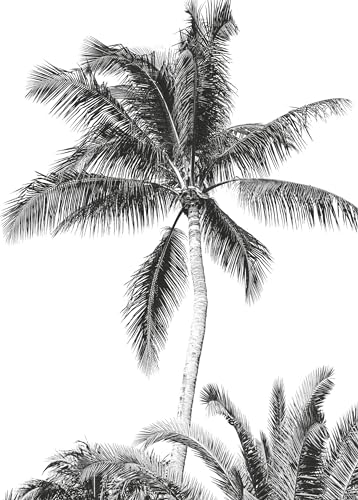 Komar Vlies Fototapete - Retro Palm - Größe: 200 x 280 cm (Breite x Höhe) - s/w, Retro, Palme, Strand, Kinderzimmer, Tapete - IAX4-0011