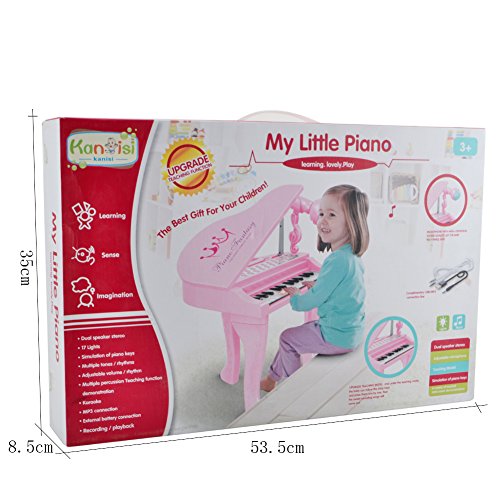 Happytime Kids Electronic Piano Muscial Toy Multi Function 25 Keys Light and Musical Instruments with Microphone MP3 Record Sing Musical Toy for Kids
