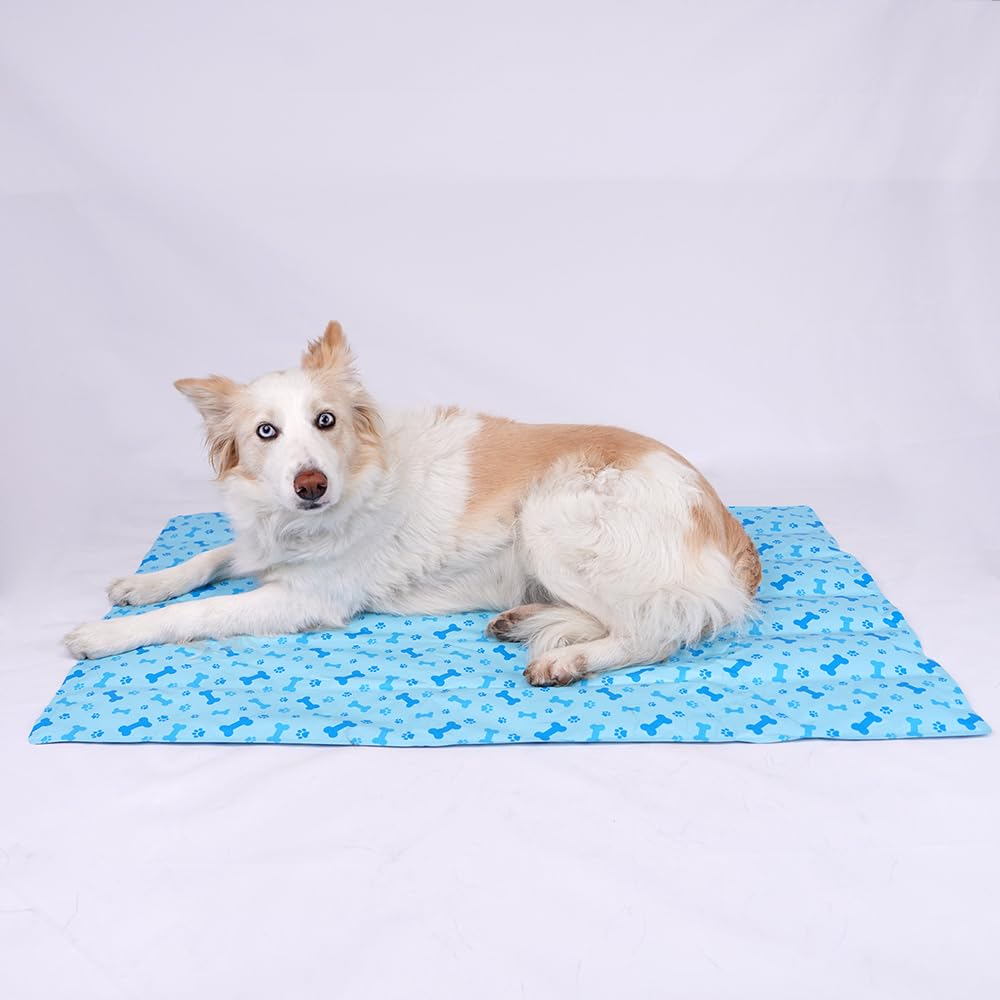 SMELL & SMILE Dog Cooling Mat, 50 x 65 cm, Cooling Mat for Pets, Cooling Mat for Pets, Blue, 50 x 65 cm