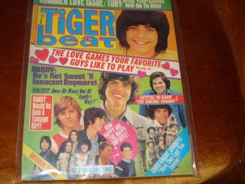 TIGER BEAT MAGAZINE - VINTAGE - AUGUST 1974 - SUMMER LOVE ISSUE