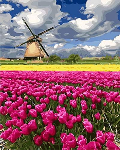 Amazon Com Diy Oil Painting Paint By Number Kits For Kids Windmill Tulip Flower Field With Frame