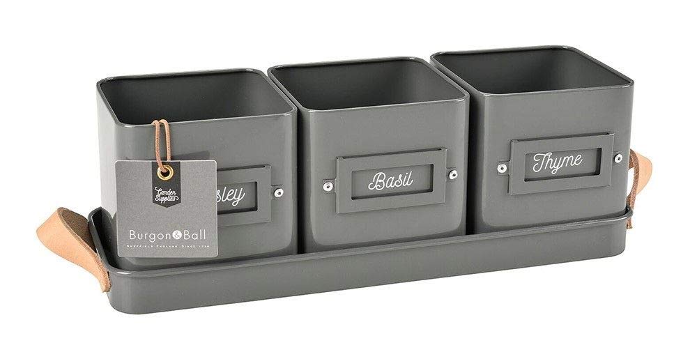 Three Herb Pots in a Tray by Burgon & Ball