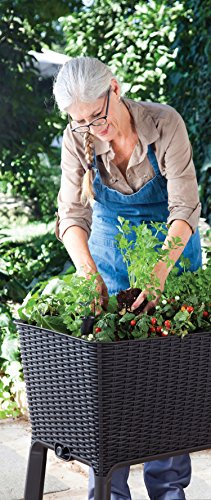 5 Keter+238699+Elevated+Garden+Anthracite