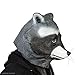 Archie McPhee Racoon Mask