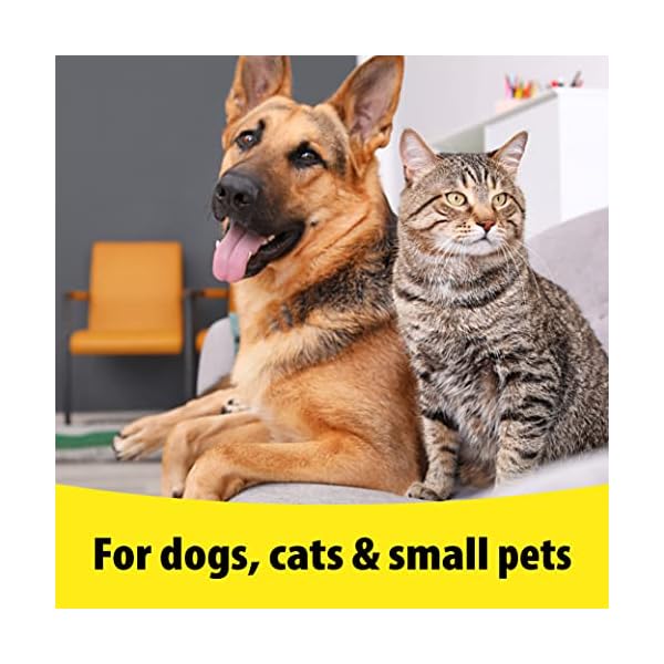 Vetzyme | Antibacterial Dog Ear Drops | Also Suitable for Cats & Small Pets | Fights Infection & Soothes Irritation (18…