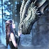 DIY 5D Diamond Painting Kit Embroidery Rhinestone Cross Stitch Arts for Craft Home Wall Decor Dragon Girl 30 x 40 cm / 11.87 x 15.75 inches