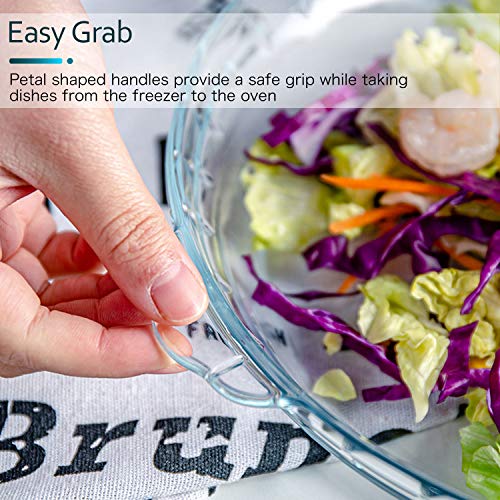 DMAR Oven Basics 91/2 Inch Deep Glass Pie Plate with Handles for Baking and Serving,Clear