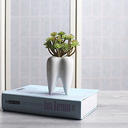 Youfui Home Decor Pot, Succulent Planter Flowerpot Decor for Home Office Desk (Larger Tooth) - Thumbnail 3