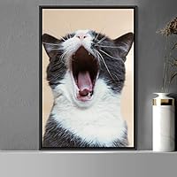 Framed Canvas Wall Art Cat Animals Cat Chic Multicolor Photography Urban - 16x24 inches