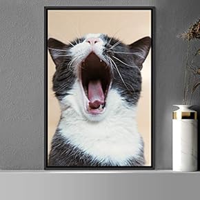 signwin Framed Canvas Wall Art Cat Animals Cat...