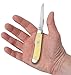 Case Mini Yellow Trapper with Caplifter Pocket Knife