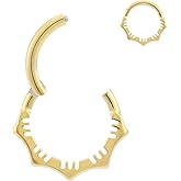 1Pcs 16G Titanium Nose Rings Silver Flower Hinged Septum Ring 16 Gauge 7mm 8mm 10mm Daith Hoop Earring Stacked Septum Rook Clicker Piercing