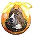 Pit Bull Christmas Ornament Shatter Proof Ball Easy To Personalize For Pit Bull Lovers