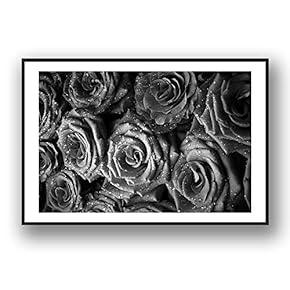 Framed Canvas Wall Art for Living Room, Bedroom Grey Rose Flowers Canvas Prints for Modern Home Decoration Ready to Hang - 16"x24" inches