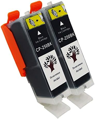 A PLUS 2 pack re-manufactured Canon PGI-250 PGBK Ink Tank, Compatible to MG5520, MG6620, MG5420, MG5422, MG5522, MG5620, MG6320, MG6420, MG7120, MG7520, MX722, MX922, iP7220, iP8720, and iX6822