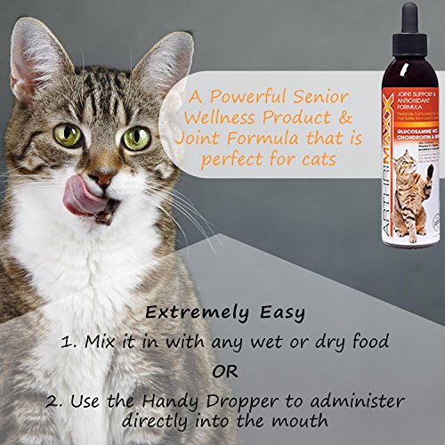 ArthriMaxx Wellness Supplement & Liquid Joint Support for Cats, 6oz