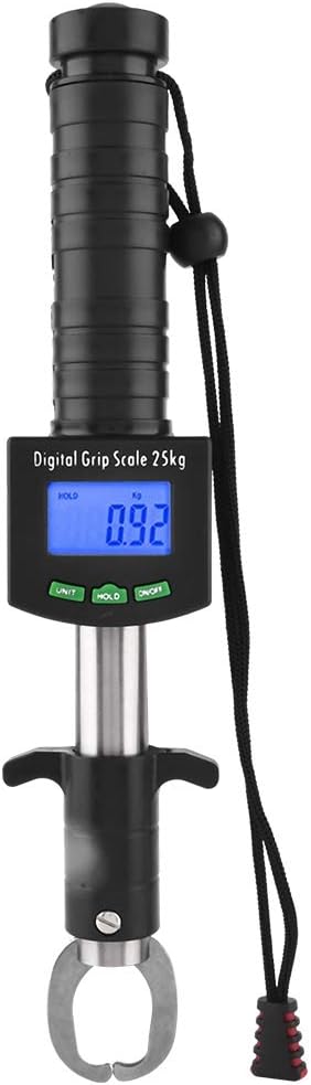 fish measuring scales