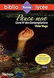 Pauca Meae (Livre IV des Contemplations) by 