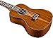 Kala KA-ASAC-C Solid Acacia Concert Ukulele