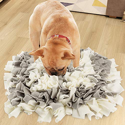 Top 10 blanket dog toy for 2018
